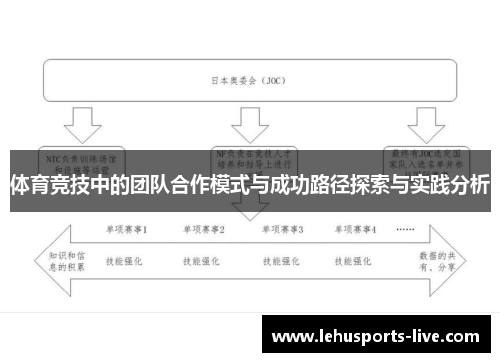 体育竞技中的团队合作模式与成功路径探索与实践分析